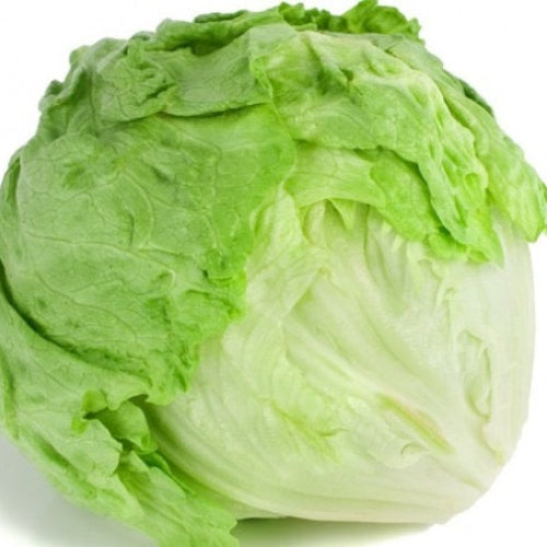 Iceberg Lettuce (Box)