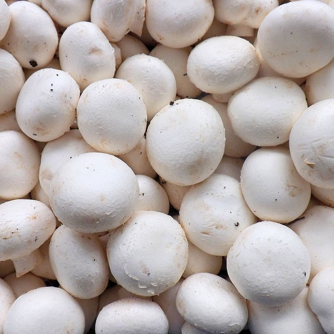 Button Mushrooms