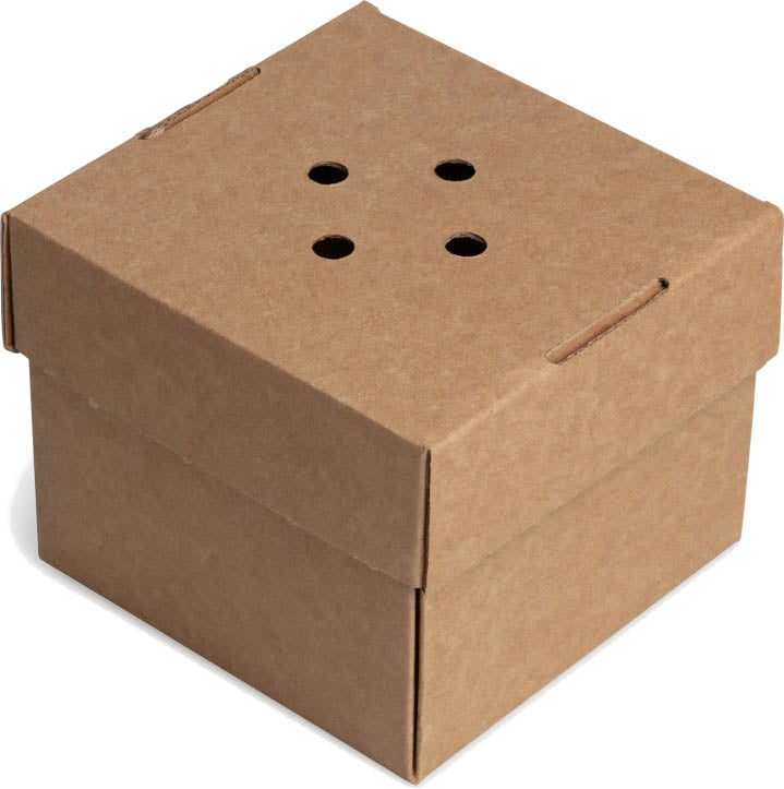 Gourmet Burger Box