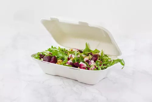 Bagasse FP10 (200)