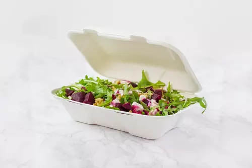 Bagasse FP10 White Box 9x62
