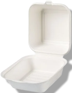 THS Bagasse FP6 (500)
