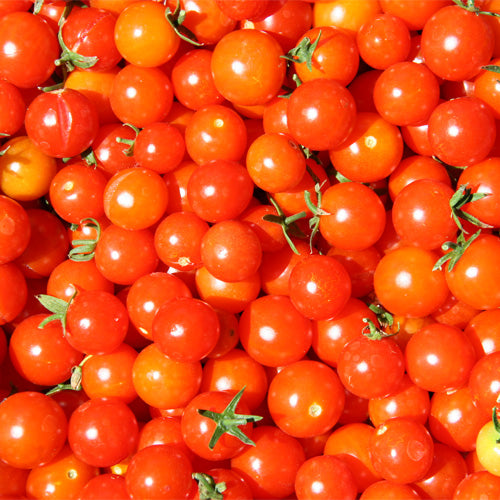 Cherry Tomatoes 9x250g