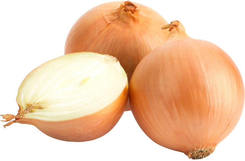 Extra Large Spanish Onions