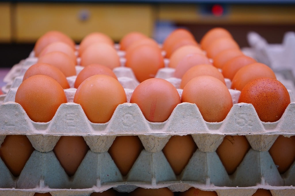 Free Range Eggs (30s)