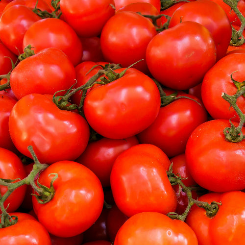 Tomatoes (Box)