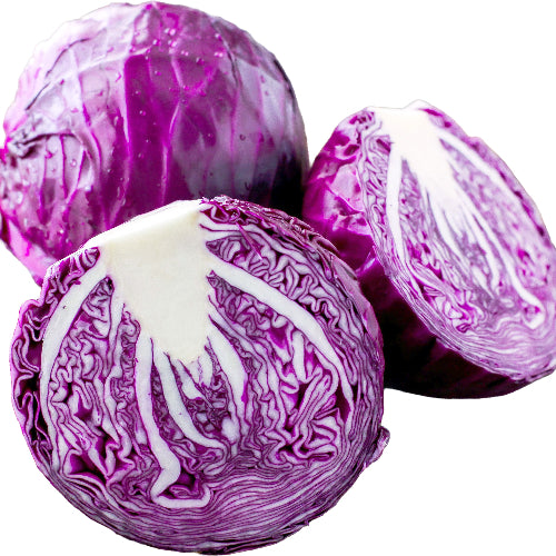 Red Cabbage (Net)